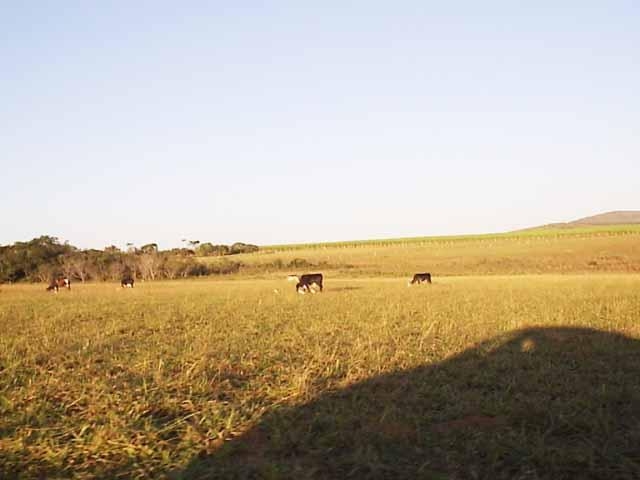 Fazenda à venda, 300m² - Foto 6