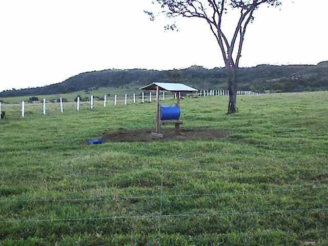 Fazenda à venda, 300m² - Foto 5