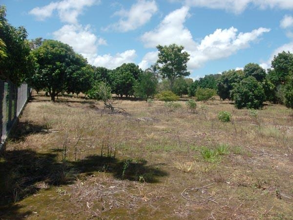 Fazenda à venda com 3 quartos, 4900m² - Foto 16