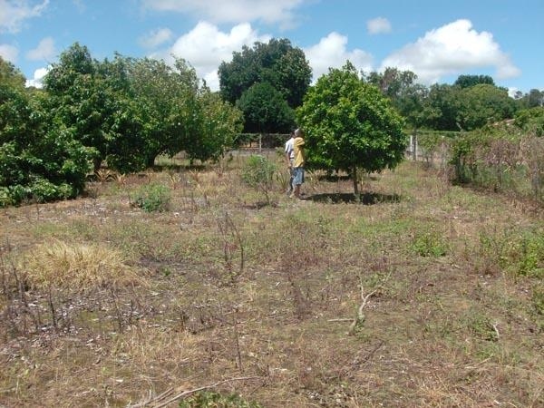 Fazenda à venda com 3 quartos, 4900m² - Foto 17