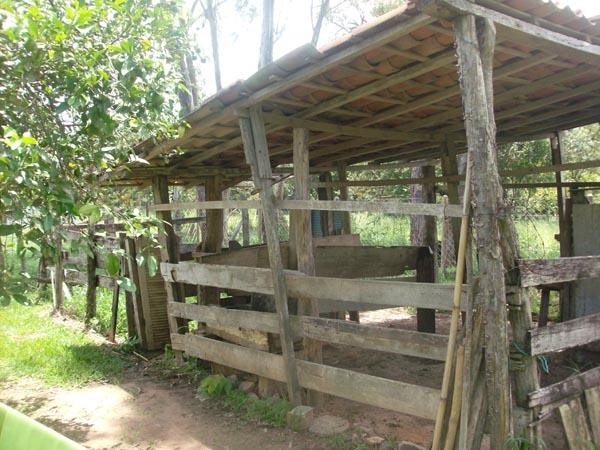 Fazenda à venda com 3 quartos, 24000m² - Foto 5