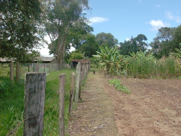 Fazenda à venda com 3 quartos, 24000m² - Foto 6