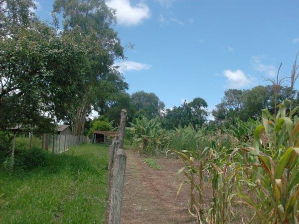 Fazenda à venda com 3 quartos, 24000m² - Foto 7