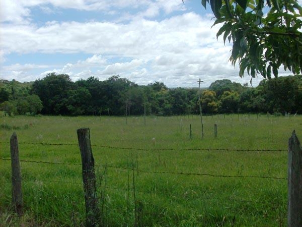 Fazenda à venda com 3 quartos, 24000m² - Foto 8