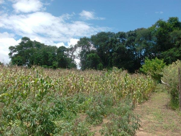 Fazenda à venda com 3 quartos, 24000m² - Foto 9