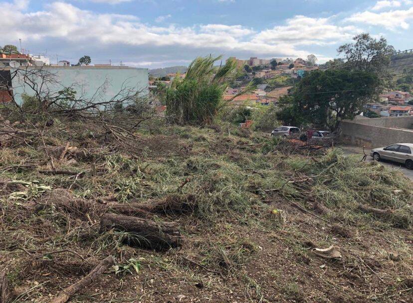 Terreno à venda, 175m² - Foto 2