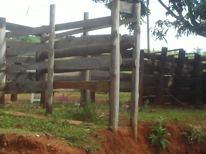 Fazenda à venda com 3 quartos, 24000m² - Foto 1