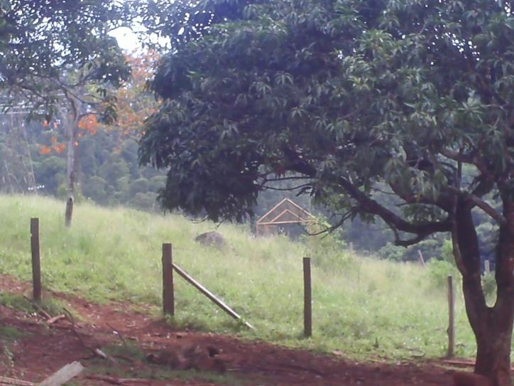 Fazenda à venda com 3 quartos, 24000m² - Foto 2