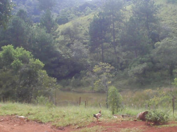 Fazenda à venda com 3 quartos, 24000m² - Foto 3