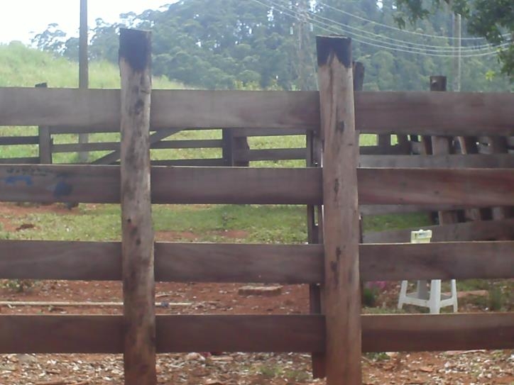 Fazenda à venda com 3 quartos, 24000m² - Foto 5