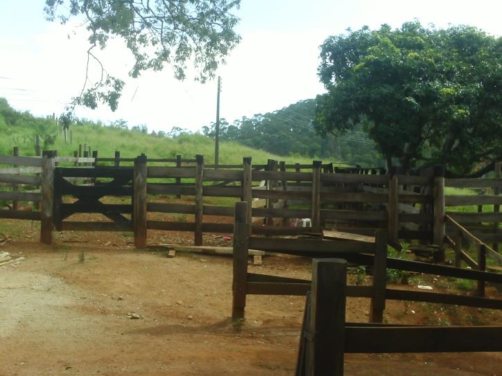 Fazenda à venda com 3 quartos, 24000m² - Foto 11