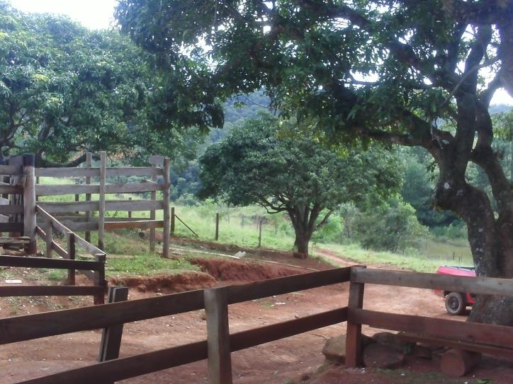 Fazenda à venda com 3 quartos, 24000m² - Foto 12