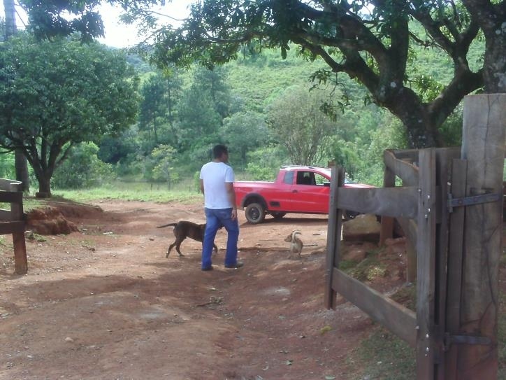 Fazenda à venda com 3 quartos, 24000m² - Foto 35