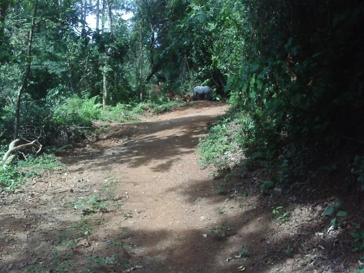 Fazenda à venda com 3 quartos, 24000m² - Foto 43