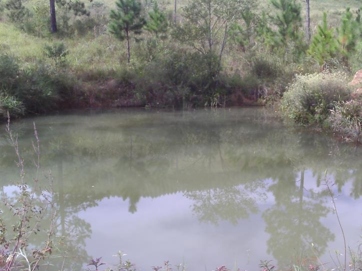 Fazenda à venda com 3 quartos, 24000m² - Foto 48