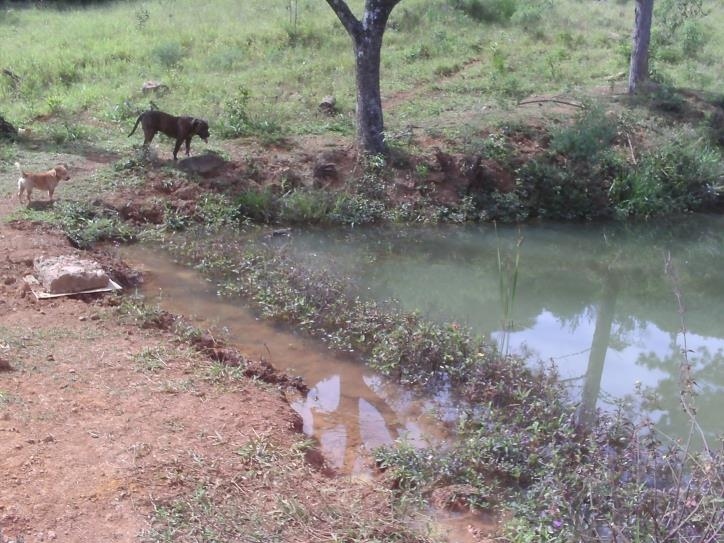 Fazenda à venda com 3 quartos, 24000m² - Foto 49