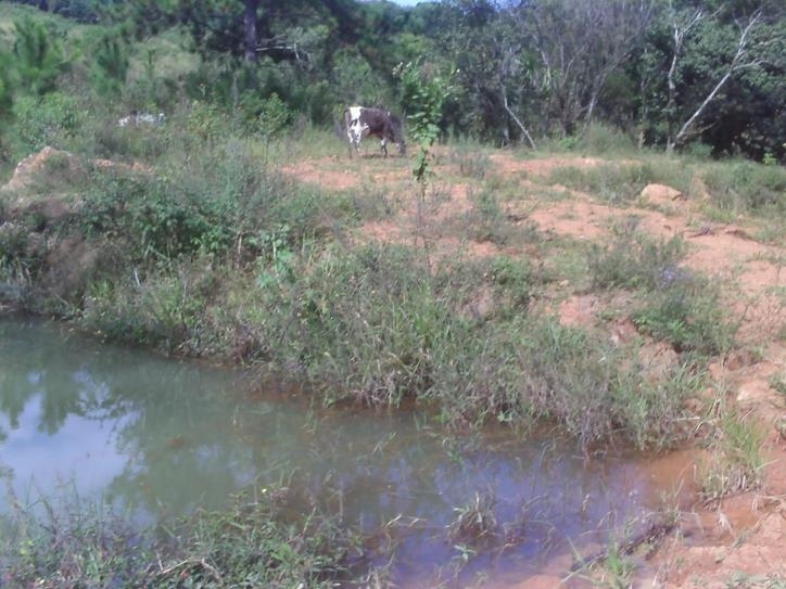 Fazenda à venda com 3 quartos, 24000m² - Foto 50