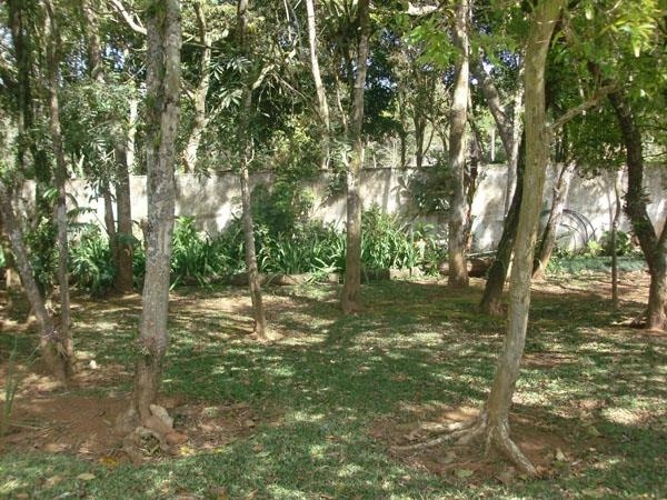 Fazenda à venda com 2 quartos, 1000m² - Foto 3