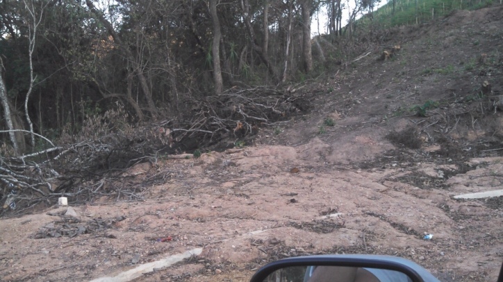 Terreno à venda, 250m² - Foto 1