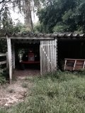 Fazenda à venda com 6 quartos, 12m² - Foto 32