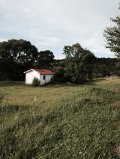 Fazenda à venda com 6 quartos, 12m² - Foto 37