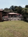 Fazenda à venda com 6 quartos, 12m² - Foto 48