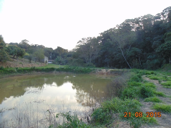 Fazenda à venda com 8 quartos, 48000m² - Foto 15