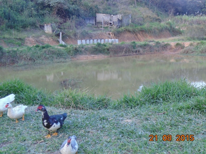 Fazenda à venda com 8 quartos, 48000m² - Foto 18