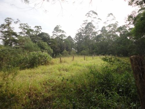 Fazenda à venda com 3 quartos, 7m² - Foto 10