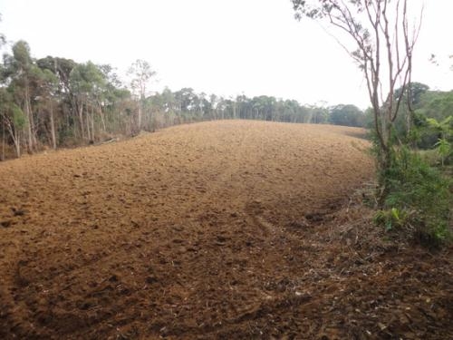 Fazenda à venda com 3 quartos, 7m² - Foto 11