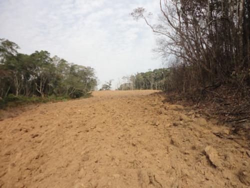 Fazenda à venda com 3 quartos, 7m² - Foto 13