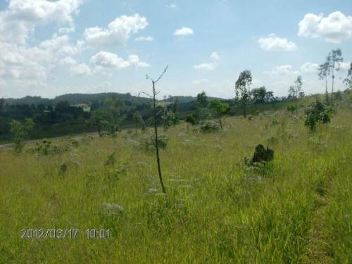 Prédio Inteiro à venda - Foto 6